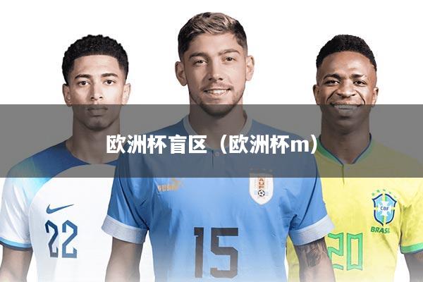欧洲杯盲区（欧洲杯m）