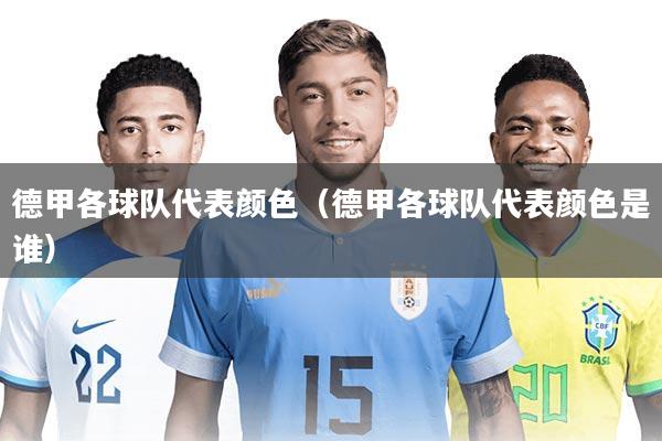 德甲各球队代表颜色（德甲各球队代表颜色是谁）