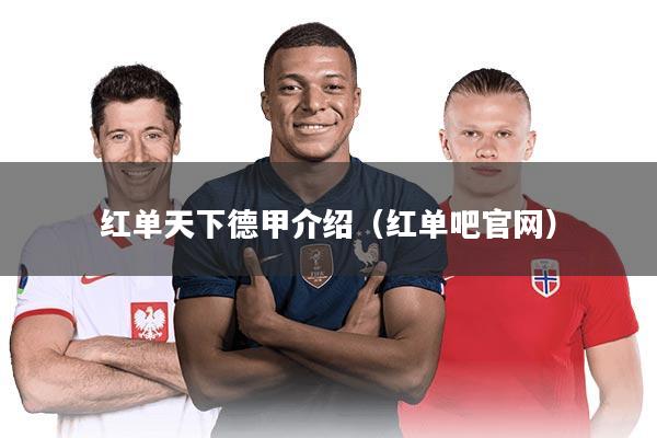 红单天下德甲介绍（红单吧官网）