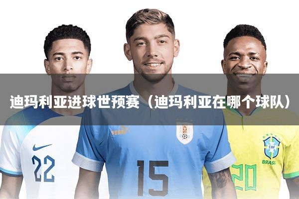 迪玛利亚进球世预赛（迪玛利亚在哪个球队）